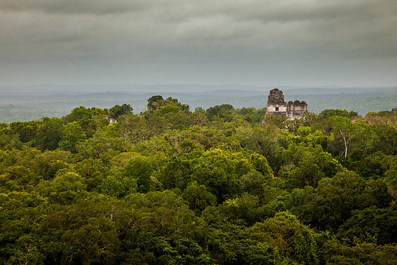 20140107evpbz00_tikal-1537